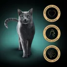 Sheba Classics Hrană umedă pentru pisici cu terină de pasăre 85 g