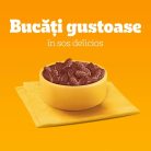 Pedigree Adult Hrană umedă câini, pasăre cu sos 40x100 g