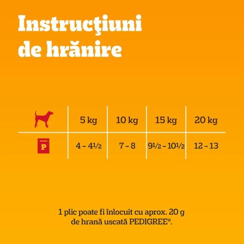 Pedigree Adult Hrană umedă câini, pasăre cu sos 40x100 g