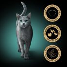 Sheba® Fresh & Fine Hrană umedă pisici adulte, pasăre în sos, plic 50 x 50 g