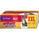 Fit+Fun Jelly Hrană pentru pisici adulte, 4 sortimente 92 x 100g