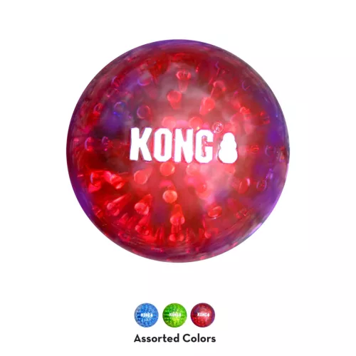 KONG Squeezz Geodz Jucărie pentru câini L (2-pack)