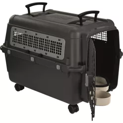 AniOne Cutie de transport pentru animale L/XL