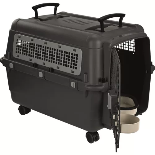 AniOne Cutie de transport pentru animale L/XL