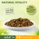 Perfect Fit Nature Vital hrană uscată pentru pisici, pui și curcan 650 g