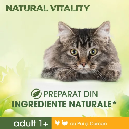 Perfect Fit Nature Vital hrană uscată pentru pisici, pui și curcan 650 g