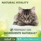 Perfect Fit Nature Vital hrană uscată pentru pisici, somon și pește alb 650 g