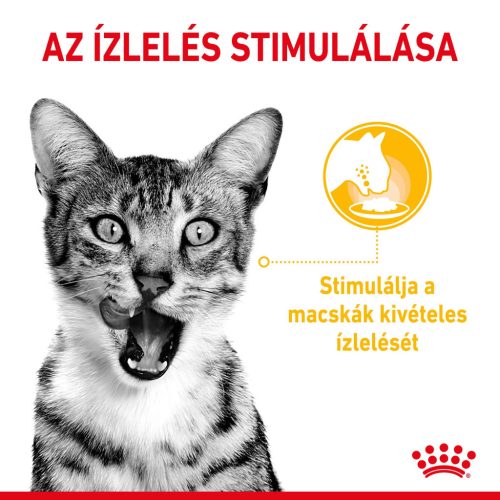 Royal Canin Sensory Taste Pliculețe pentru pisici 85 g