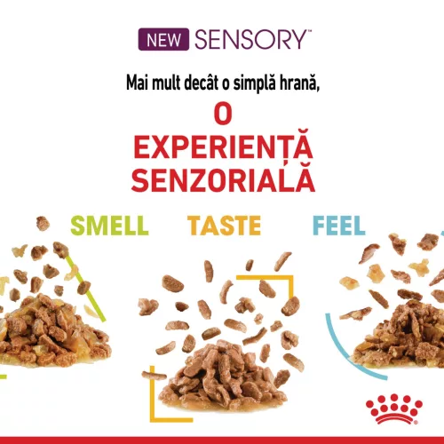 Royal Canin Sensory Taste Pliculețe pentru pisici 85 g
