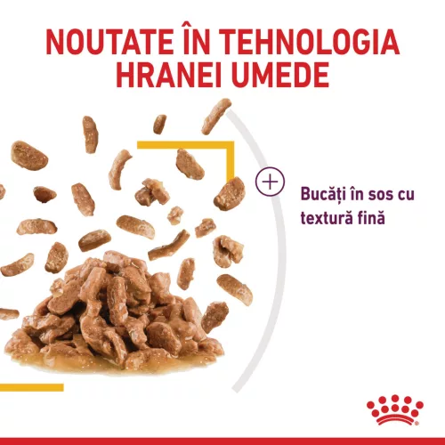 Royal Canin Sensory Taste Pliculețe pentru pisici 85 g