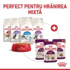 Royal Canin Sensory Taste Pliculețe pentru pisici 85 g