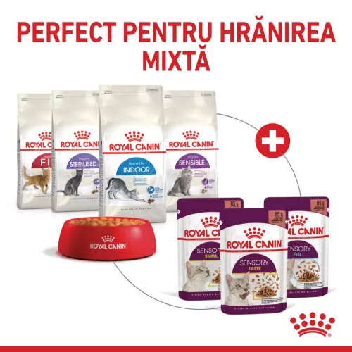 Royal Canin Sensory Taste Pliculețe pentru pisici 85 g
