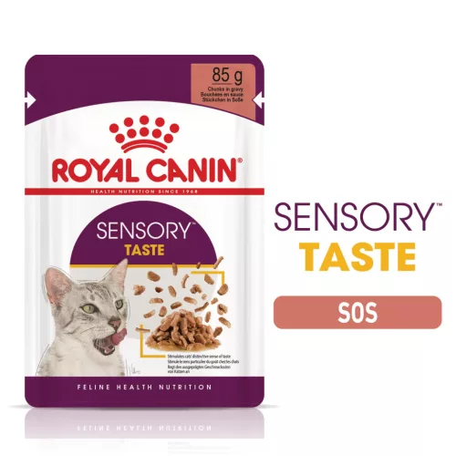 Royal Canin Sensory Taste Pliculețe pentru pisici 85 g