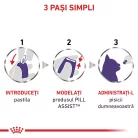 Royal Canin Veterinary Pill Assist pentru pisici 45 g