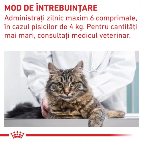 Royal Canin Veterinary Pill Assist pentru pisici 45 g