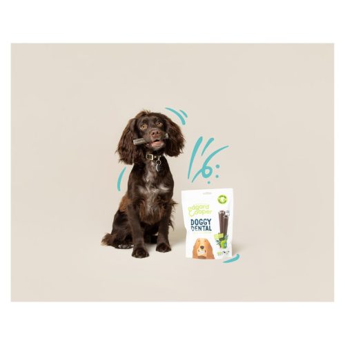 Edgard & Cooper Dental Sticks cu căpșuni și mentă pentru câini 105 g