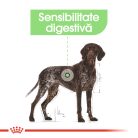Royal Canin Maxi Digestive Care Hrană uscată pentru câini 12 kg