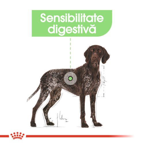 Royal Canin Maxi Digestive Care Hrană uscată pentru câini 12 kg