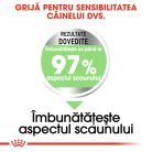 Royal Canin Maxi Digestive Care Hrană uscată pentru câini 12 kg