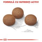 Royal Canin Maxi Digestive Care Hrană uscată pentru câini 12 kg