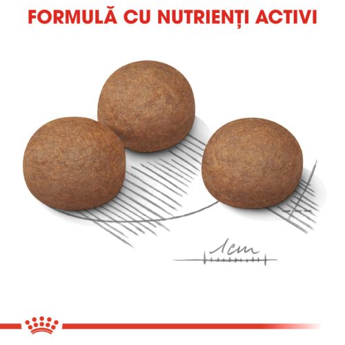 Royal Canin Maxi Digestive Care Hrană uscată pentru câini 12 kg