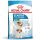 Royal Canin Mini Starter Mother & BabyDog Hană uscată pentru câini, mama și puiul 4 kg