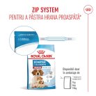 Royal Canin Medium Starter Mother & BabyDog Hană uscată pentru câini, mama și puiul 15 kg