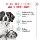 Royal Canin Medium Starter Mother & BabyDog Hană uscată pentru câini, mama și puiul 15 kg