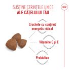 Royal Canin Medium Starter Mother & BabyDog Hană uscată pentru câini, mama și puiul 15 kg