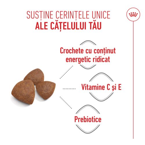 Royal Canin Medium Starter Mother & BabyDog Hană uscată pentru câini, mama și puiul 15 kg