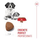 Royal Canin Medium Starter Mother & BabyDog Hană uscată pentru câini, mama și puiul 15 kg