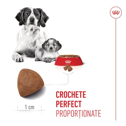 Royal Canin Medium Starter Mother & BabyDog Hană uscată pentru câini, mama și puiul 15 kg
