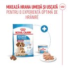 Royal Canin Medium Starter Mother & BabyDog Hană uscată pentru câini, mama și puiul 15 kg