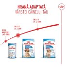 Royal Canin Medium Starter Mother & BabyDog Hană uscată pentru câini, mama și puiul 15 kg