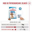 Royal Canin Medium Starter Mother & BabyDog Hană uscată pentru câini, mama și puiul 15 kg