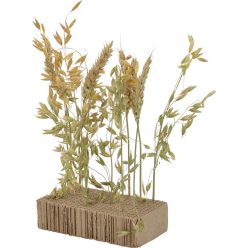 AniOne Jucărie interactivă cu gustări pentru animale mici