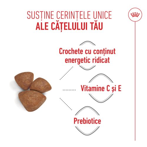 Royal Canin Mini Starter Mother & BabyDog Hană uscată pentru câini, mama și puiul 8 kg