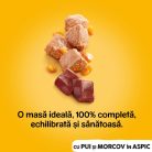 Pedigree hrană umedă la conservă pentru câini adulți cu pui și morcov în aspic 1200 g