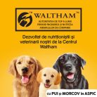 Pedigree hrană umedă la conservă pentru câini adulți cu pui și morcov în aspic 1200 g
