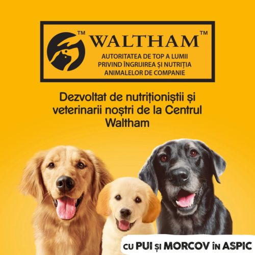 Pedigree hrană umedă la conservă pentru câini adulți cu pui și morcov în aspic 1200 g