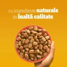 Pedigree Hrană uscată cu vită și legume pentru câini adulți 3 kg