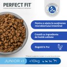 Perfect Fit Junior Hrană uscată cu pui pentru câini de talie mică 825 g