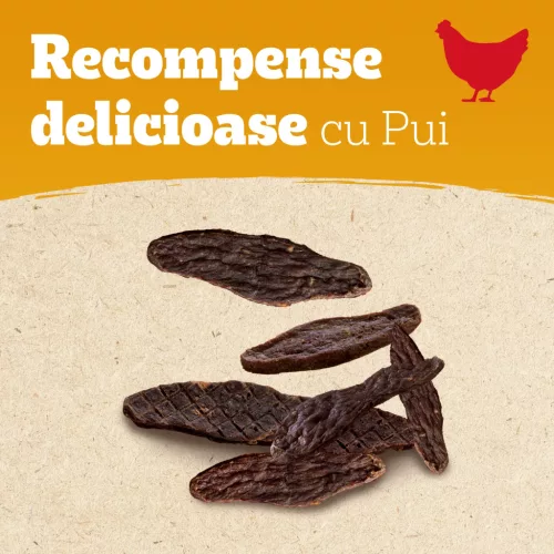 Pedigree Ranchos recompense pentru câini, cu pui 70 g