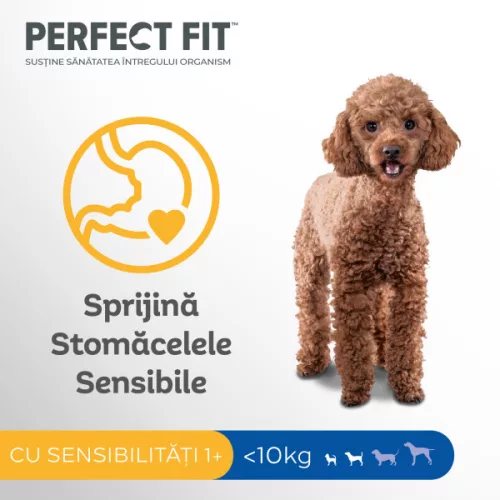 Perfect Fit Sensitive Hrană uscată pentru câini adulți de talie mică cu curcan 1,4 kg