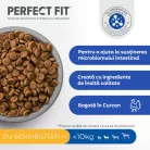 Perfect Fit Sensitive Hrană uscată pentru câini adulți de talie mică cu curcan 1,4 kg