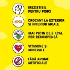 Dreamies Recompense pentru pisici cu somon savuros 60 g