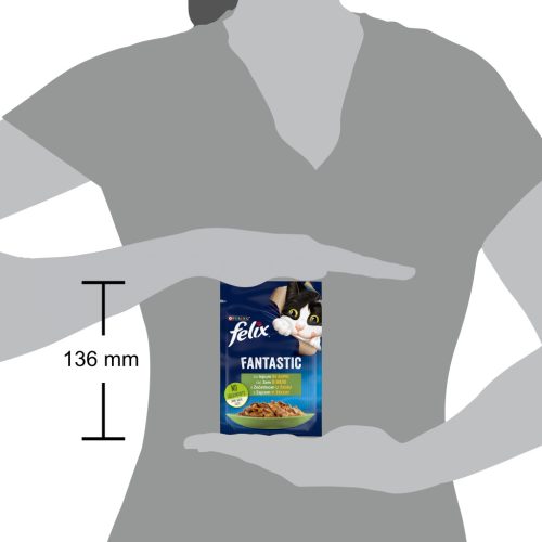 Felix Fantastic Hrană umedă pentru pisici, cu iepure în aspic 85 g