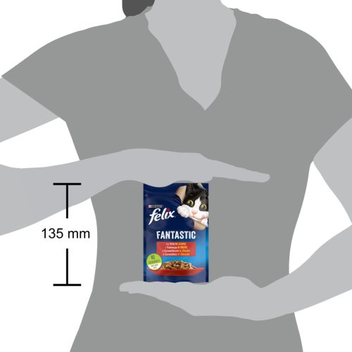 Felix Fantastic Hrană umedă pentru pisici, cu vită în aspic 85 g