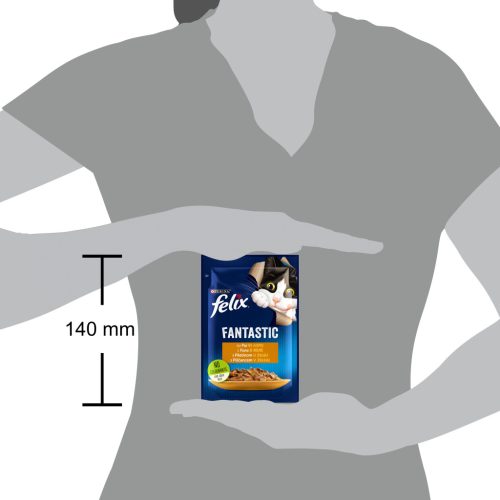 Felix Fantastic Hrană umedă pentru pisici, cu pui în aspic 85 g