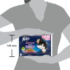 Felix Fantastic Junior Hrană umedă pentru puii de pisică, selecție mixtă cu pui, somon în aspic 4x85 g